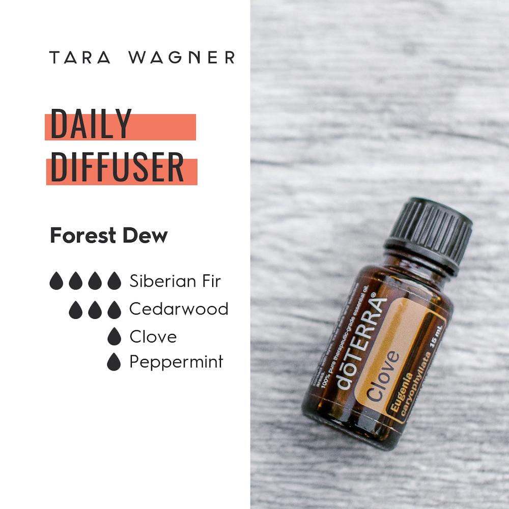 Diffuser recipe called Forest Dew depicting the recipe: 4 drops Siberian fir, 3 drops cedarwood, 1 duo clove and 1 drop peppermint essential oils