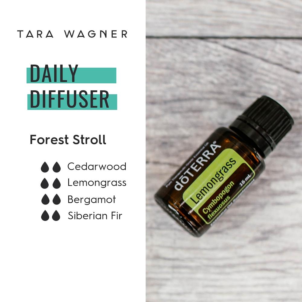 Diffuser recipe called Forest Stroll depicting the recipe: 2 drops each of cedarwood, lemongrass, bergamot, and Siberian fir essential oils