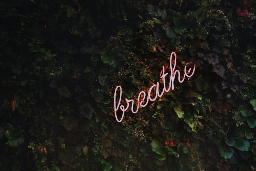 Neon sign that says "breathe" in cursive with a moody leafy wall backgound