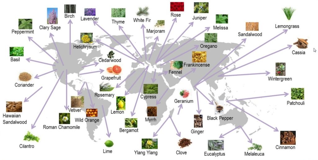 Map of doTERRA's partner growing regions