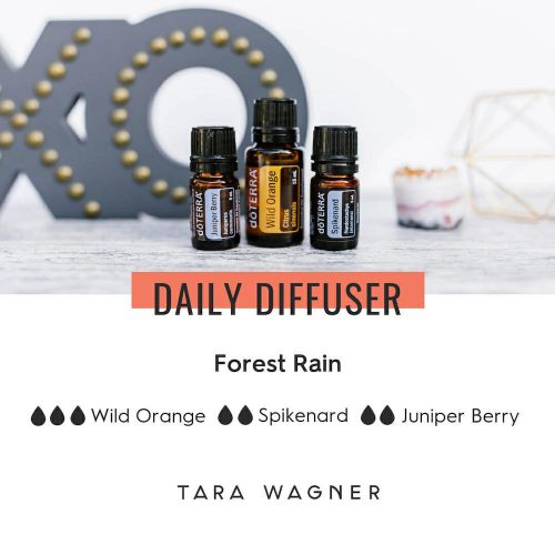 Forest-Rain-spikenard-wild-orange-juniper-berry Diffuser recipe called Forest Rain depicting the recipe: 3 drops of wild orange, 2 drops each of spikenard and juniper berry essential oils